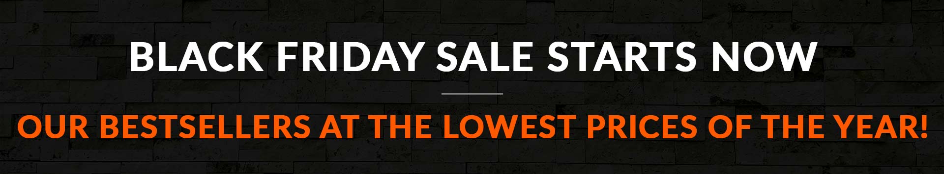 Black Friday Sale