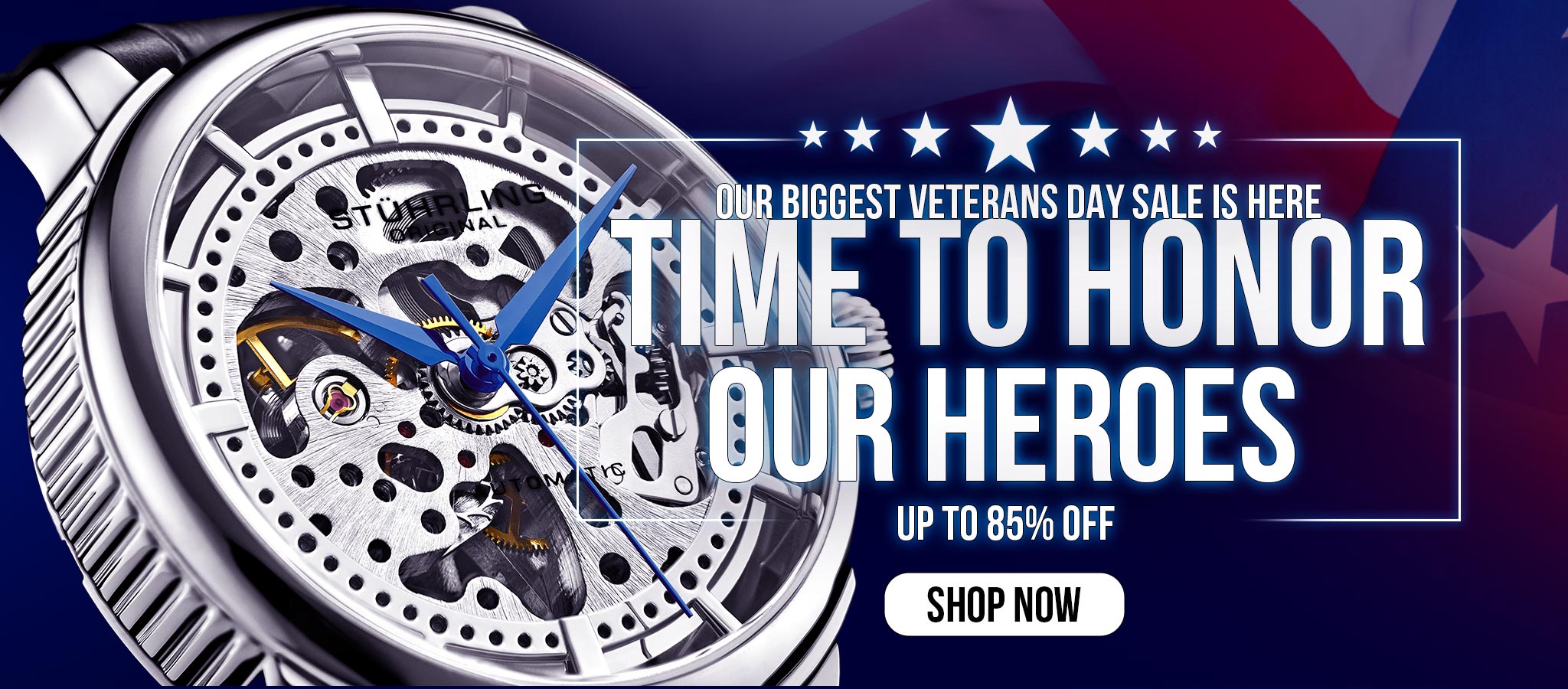 Veterans day 25