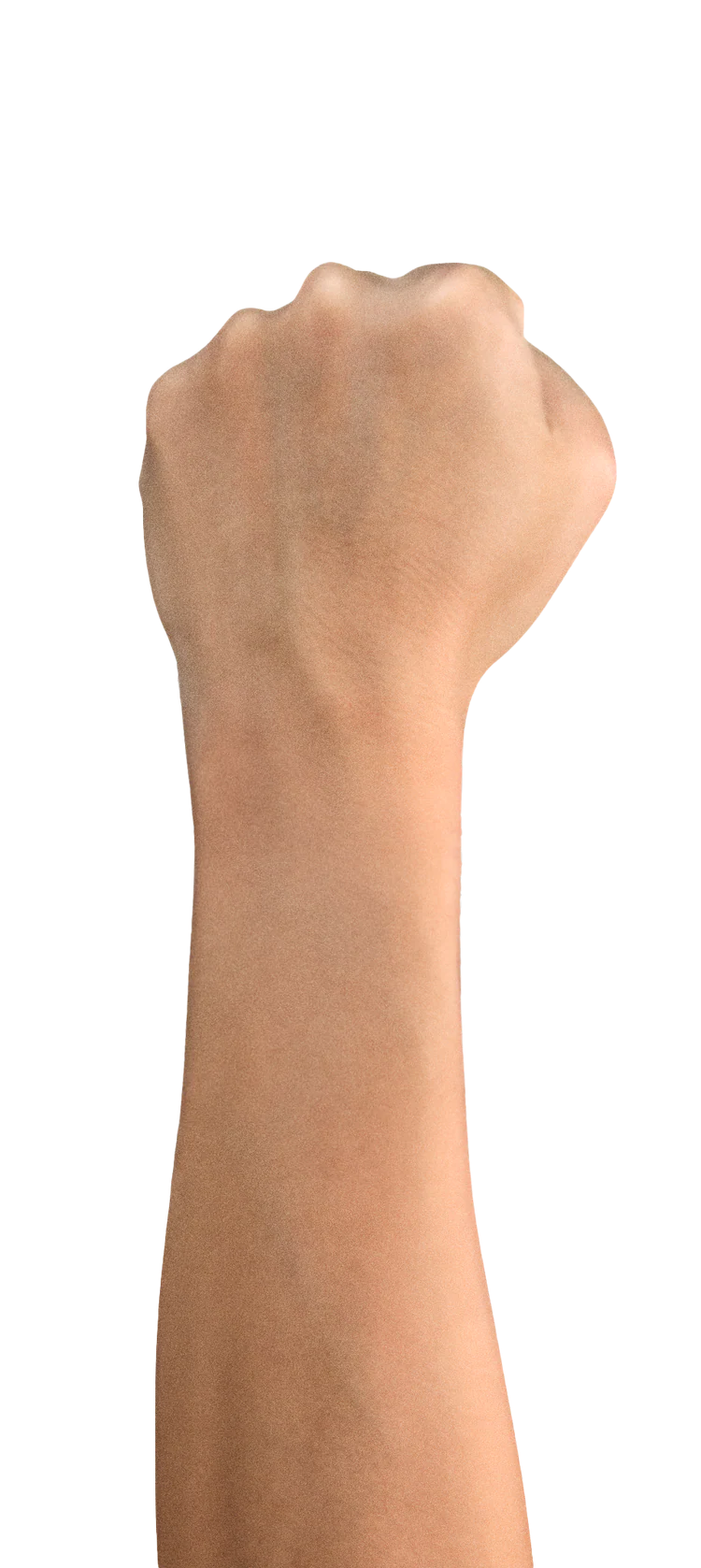 Wrist visualization